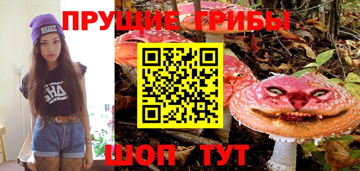 Псилоцибиновые грибы мухоморы  наркота  Заводоуковск  Вход с VPN 